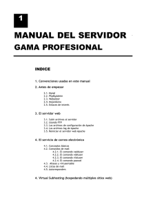manual del servidor