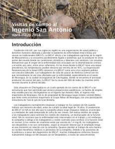 Ingenio San Antonio - La Isla Foundation