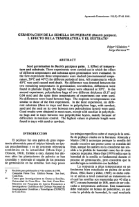 Germinación de la semilla de pejibaye (Bactris gasipaes).