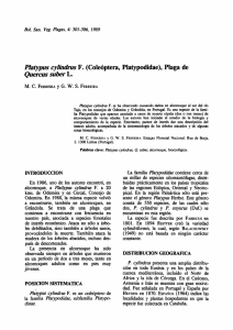 Platypus cylindrus F. - Ministerio de Agricultura, Alimentación y