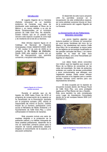 Introducción El Lagarto Gigante de La Gomera (Gallotia bravoana