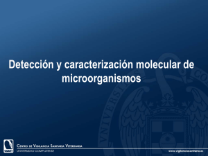 Detección y caracterización molecular de microorganismos