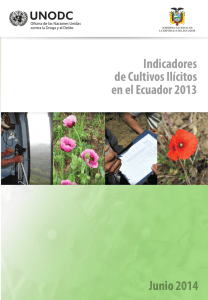 Indicadores de Cultivos Ilícitos en el Ecuador 2013