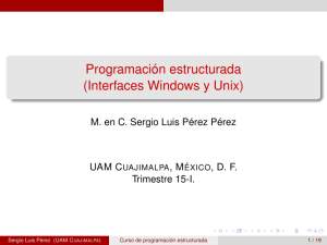 Programación estructurada (Interfaces Windows y Unix)