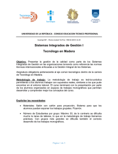 Sistemas Integrados de Gestión I Tecnólogo en Madera