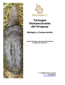 Tortugas Dulceacuícolas del Uruguay