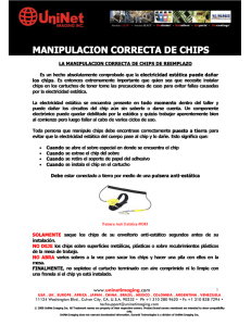 MANIPULACION CORRECTA DE CHIPS