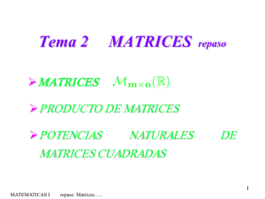 1 matrices