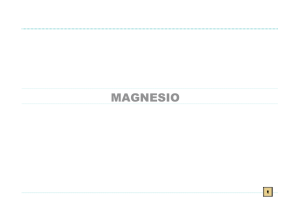 magnesio - El Crisol