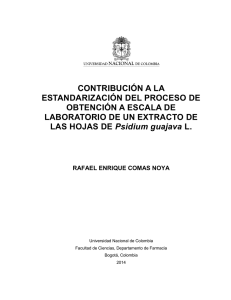 CONTRIBUCIÓN A LA ESTANDARIZACIÓN DEL PROCESO DE