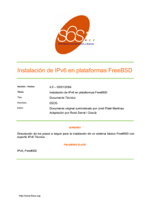Instalación de IPv6 en plataformas FreeBSD