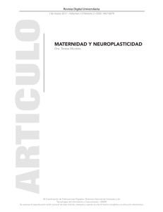 maternidad y neuroplasticidad - Revista Digital Universitaria