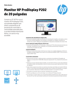 Monitor HP ProDisplay P202 de 20 pulgadas