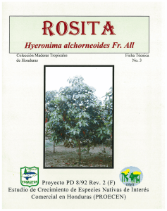 Rosita, Hyeronima alchorneoides Fr. All