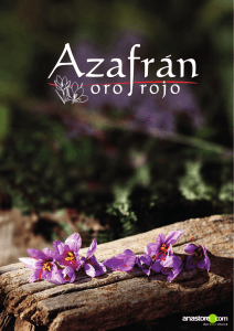 Azafrán - Anastore