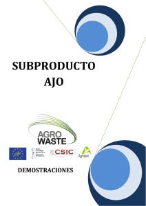 SUBPRODUCTO AJO