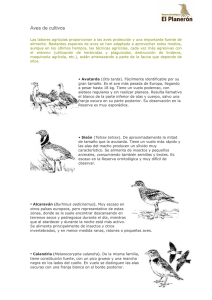Aves de cultivos