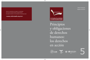 Principios y obligaciones de derechos humanos