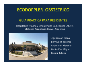 eco doppler obstétrico: guía práctica para residentes