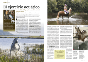 El ejercicio en agua Revista Ecuestre agosto 2014