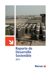 Reporte de Desarrollo Sostenible