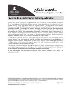 Acerca de las infecciones del hongo Candida