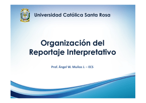 Organización del Reportaje interpretativo