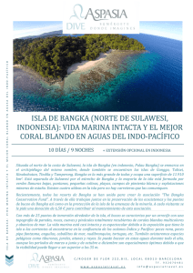 isla de bangka (norte de sulawesi, indonesia): vida marina intacta y