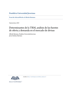 Determinantes de la TRM, análisis de las fuentes de oferta y
