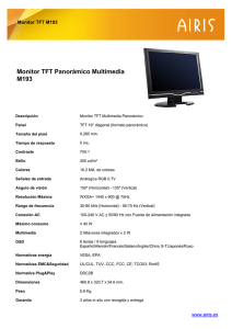 Monitor TFT Panorámico Multimedia M193