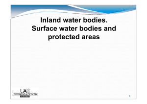 Inland water bodies. Surface water bodies and protected areas