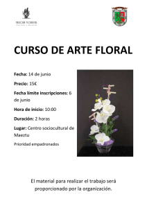 16-05-11 Decoracion Floral - Ayuntamiento Arraia