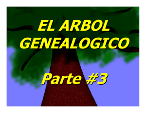 el arbol genealogico 03