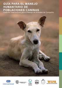 guía para el manejo humanitario de poblaciones caninas