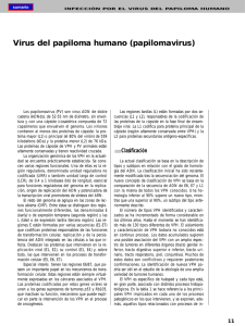 Virus del papiloma humano (papilomavirus)
