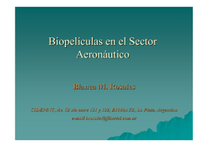 Biopelículas en el sector aeronáutico