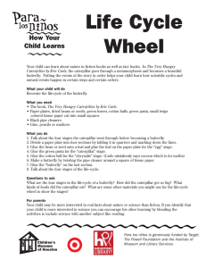Life Cycle Wheel - Children`s Museum of Houston