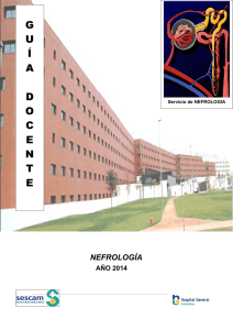guia nefrologia 2014