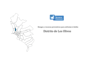 Distrito de Los Olivos