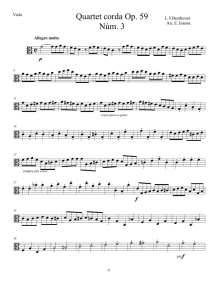 Viola-Allegro molto Quartet Op. 59 Num. 3