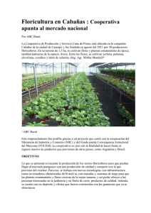Floricultura en Cabañas : Cooperativa