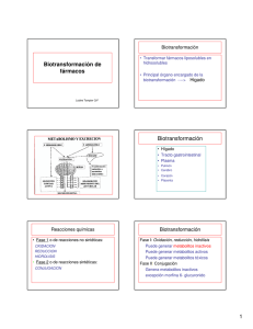 Biotransformación de fármacos Biotransformación - U