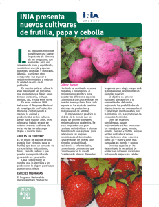 INIA presenta nuevos cultivares de frutilla, papa y cebolla