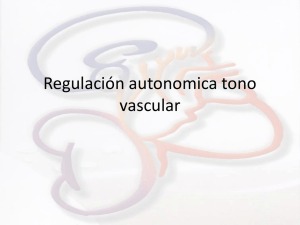 Regulacion tono vascular