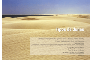 Tipos de dunas