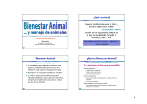 Bienestar Animal - Departamento de Producción Animal y Pasturas