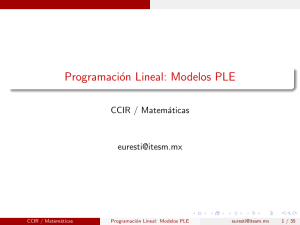 Programación Lineal: Modelos PLE