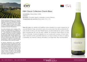 KWV Classic Collection Chenin Blanc