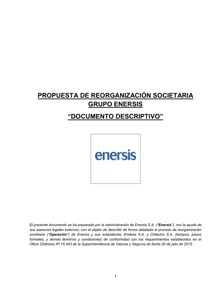 propuesta de reorganización societaria grupo enersis documento