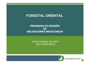 Presentación de ON Compañia Forestal Oriental S.A.